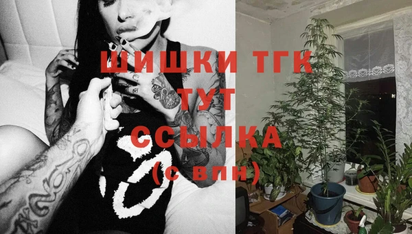 ПСИЛОЦИБИНОВЫЕ ГРИБЫ Верея