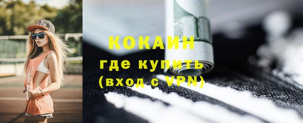 ПСИЛОЦИБИНОВЫЕ ГРИБЫ Верея