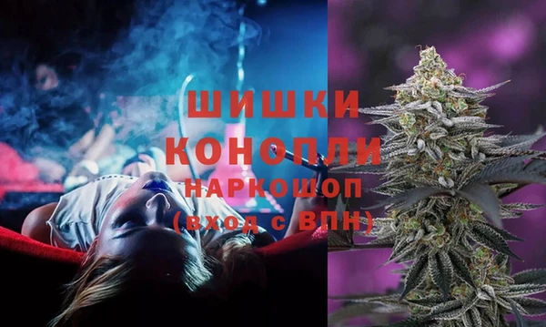 кокс Инта