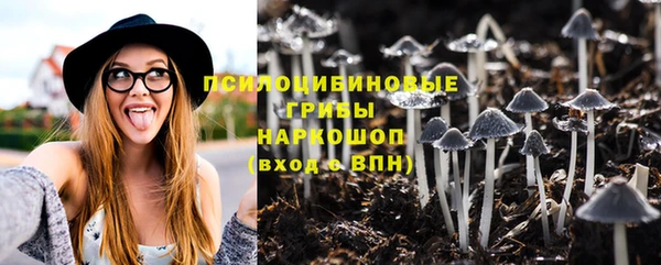 мескалин Бикин