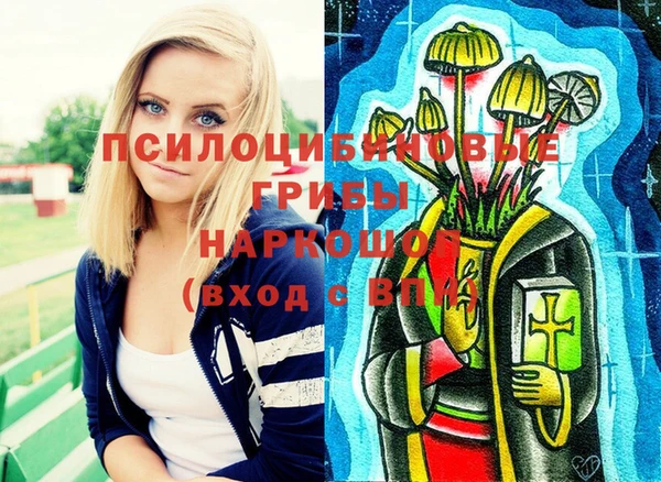 ПСИЛОЦИБИНОВЫЕ ГРИБЫ Верея