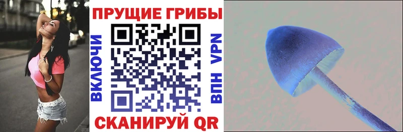 Галлюциногенные грибы ЛСД  Весьегонск 